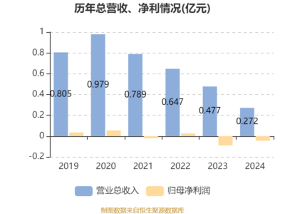 硅鑫集團(tuán):2024年虧損436.7萬(wàn)元