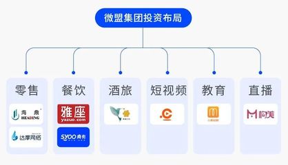 6億美元融資就位 看微盟如何&ldquo;深挖坑、廣積糧、高筑墻&rdquo;