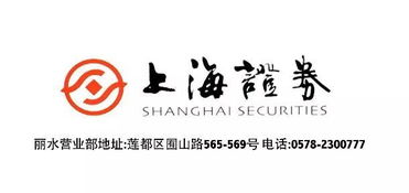 上海證券麗水營(yíng)業(yè)部開業(yè)盛典，投資控股引領(lǐng)財(cái)富未來(lái)